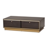 Baxton Studio Cormac Mid-Century Modern Transitional Dark Brown Finished Wood and Gold Metal 2-Drawer Coffee Table